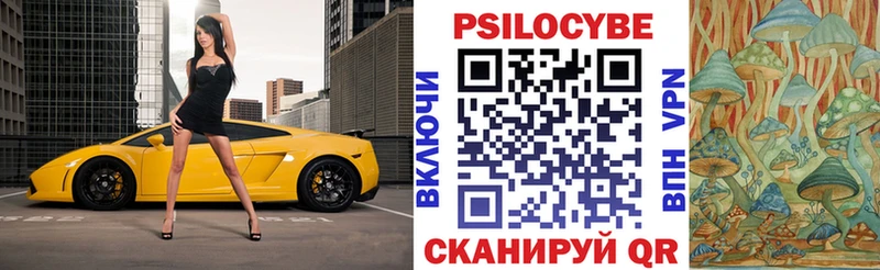 купить   Волчанск  Псилоцибиновые грибы Psilocybine cubensis 